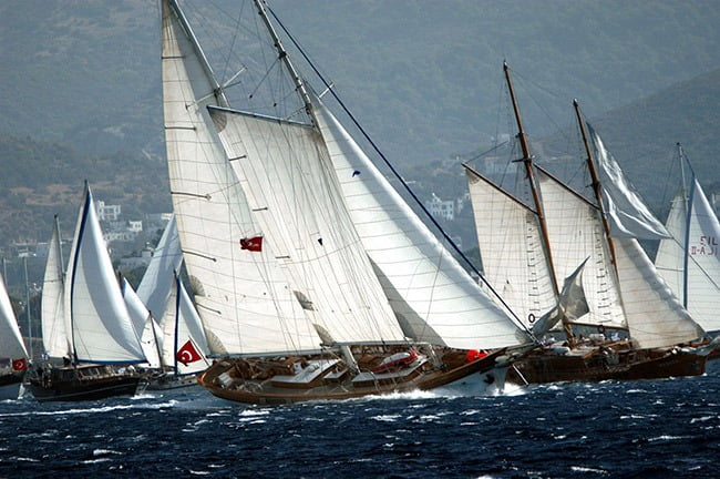 Yacht Race